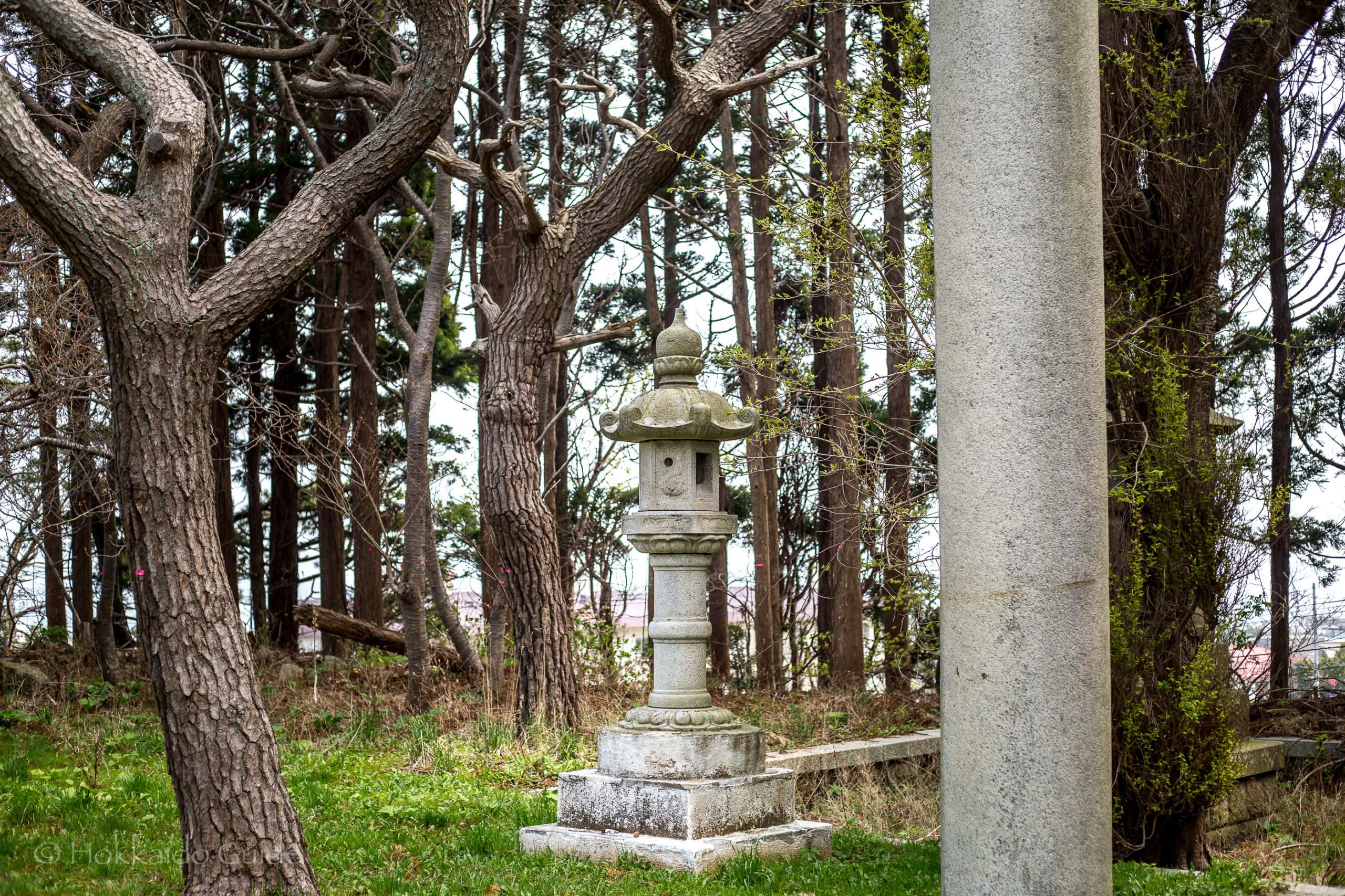 ⛩️ 호국 신사 (홋카이도 고코쿠 진자) 이미지 7